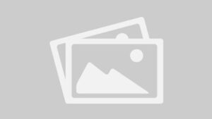 2017 TSUGAMI SS207-II